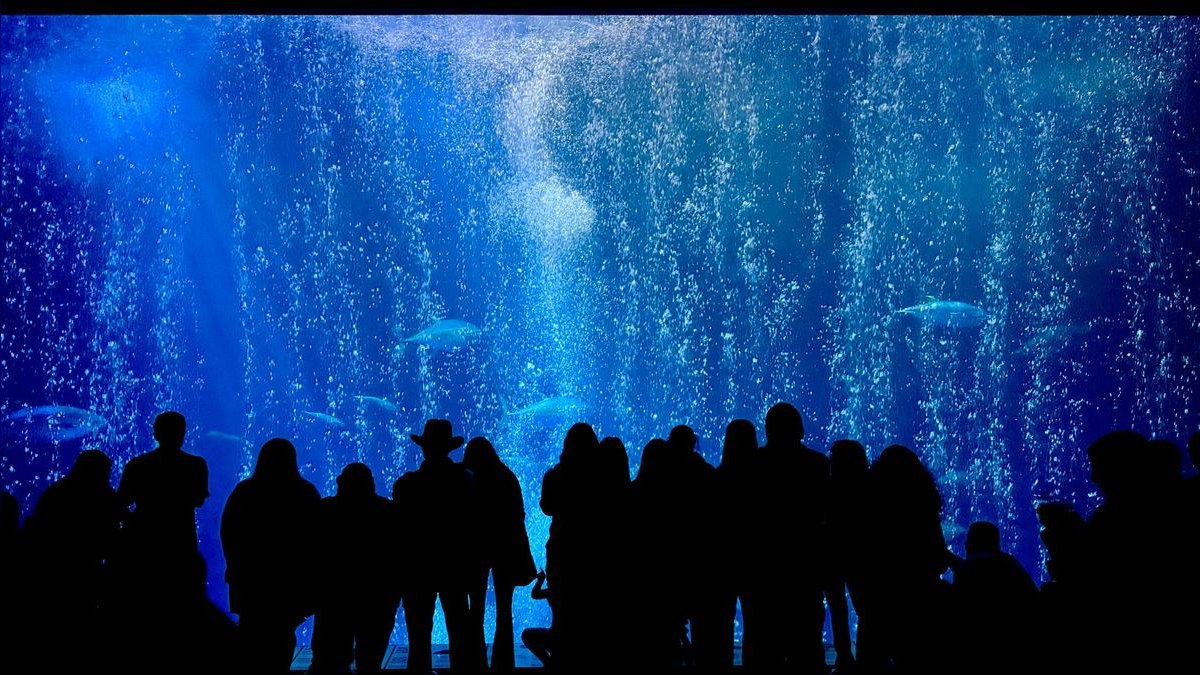 Top 10 Acrylic Aquariums 2027 — figure 3