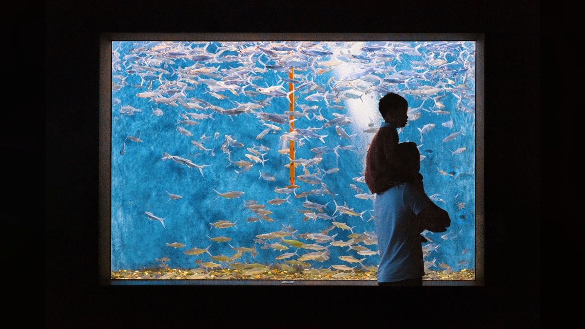 Top 10 Acrylic Aquariums 2027 — figure 4