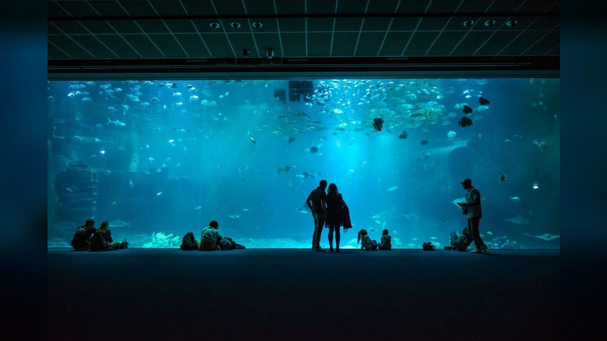 Top 10 Acrylic Aquariums 2027 — figure 5