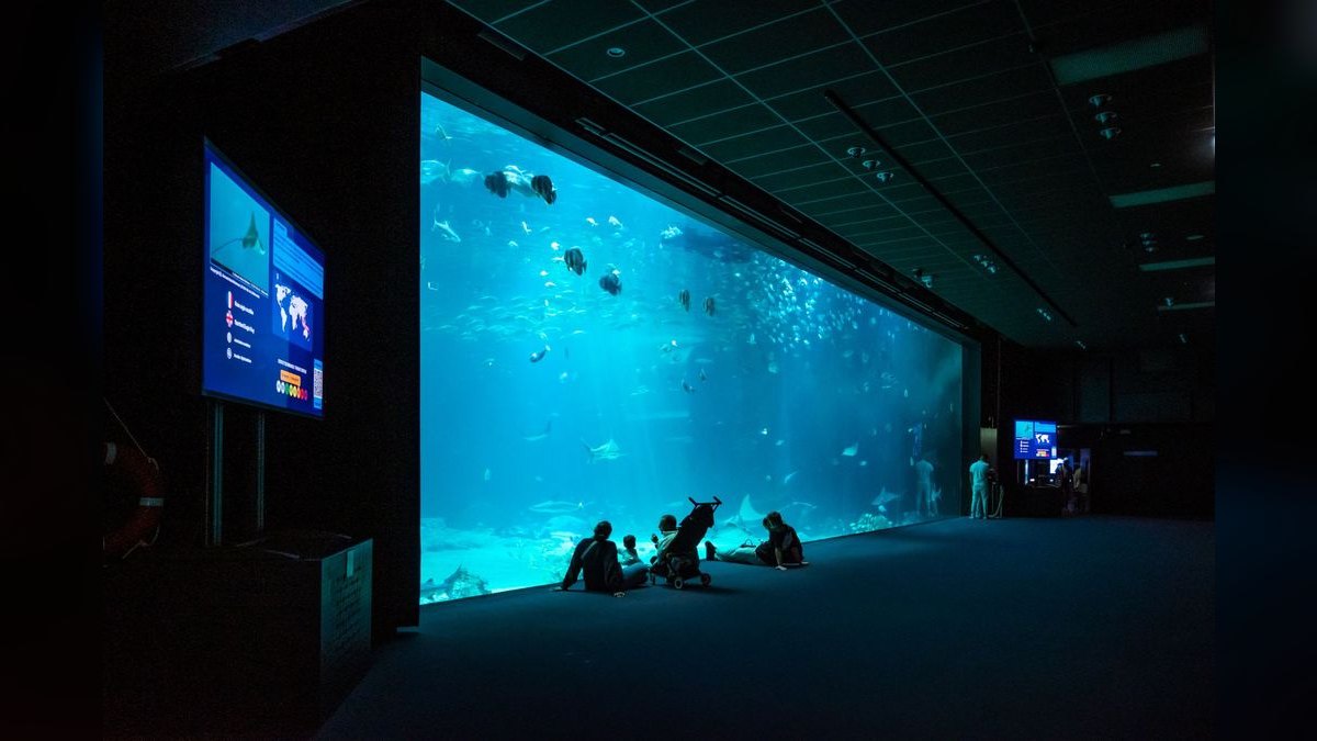 Top 10 Acrylic Aquariums 2027 — figure 6