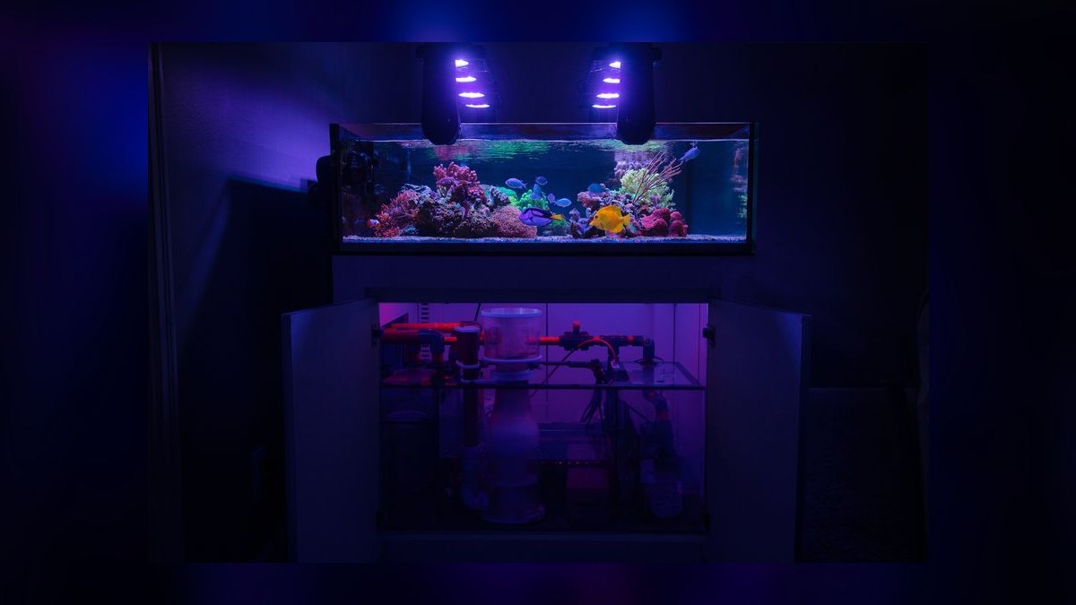 Top 10 Acrylic Aquariums 2027
