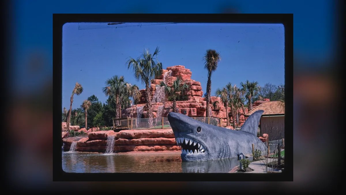 Top 10 Freshwater Aquarium Sharks 2027