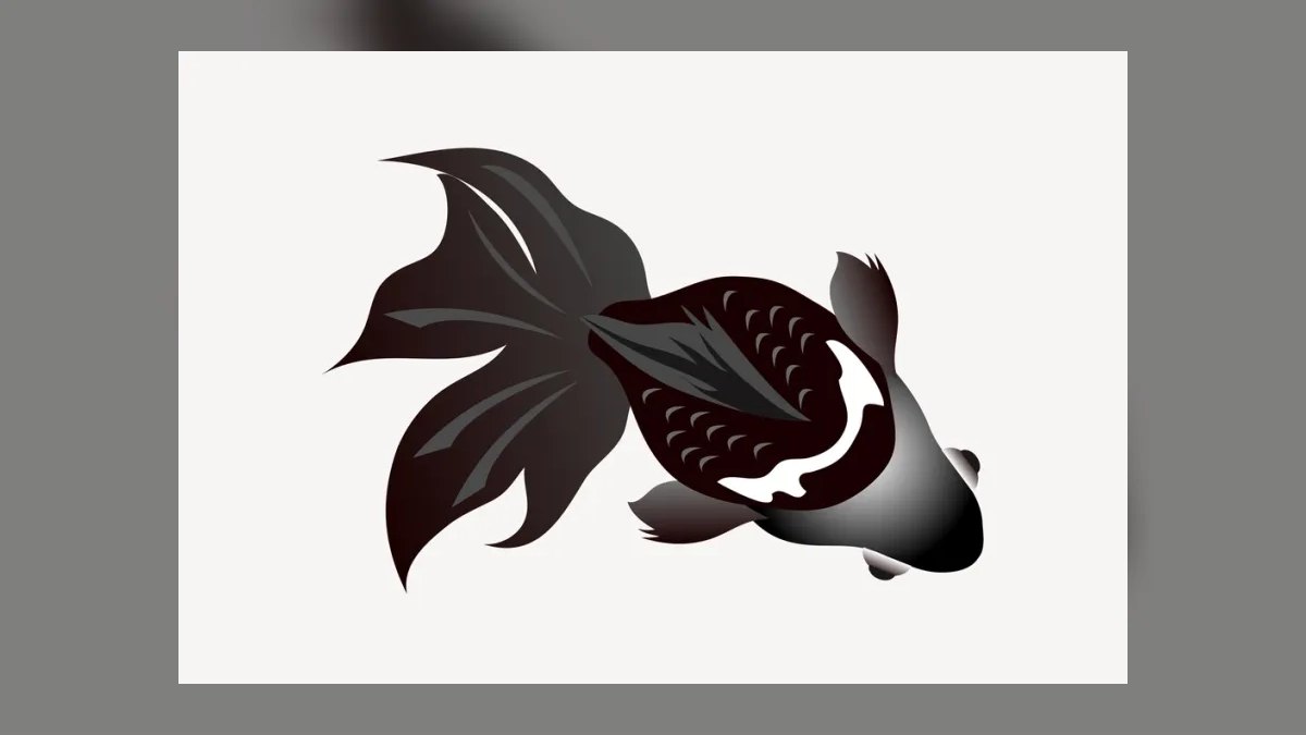 Top 10 Goldfish Varieties 2027 — figure 7