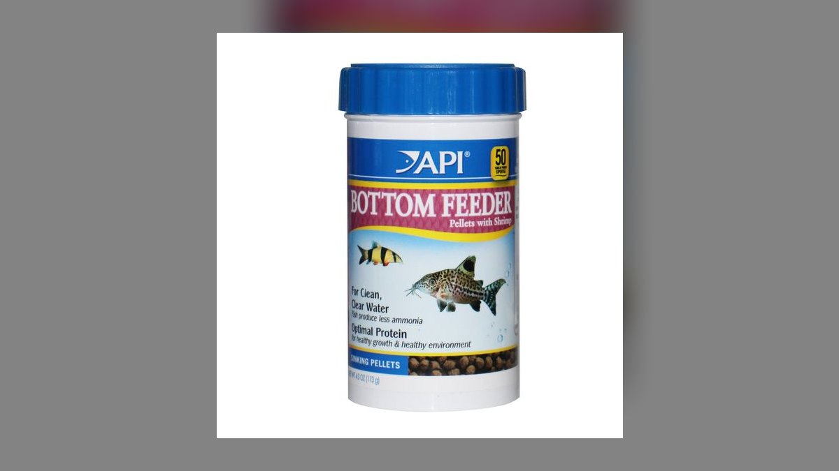 Top 10 Tropical Fish Foods 2027 — figure 9