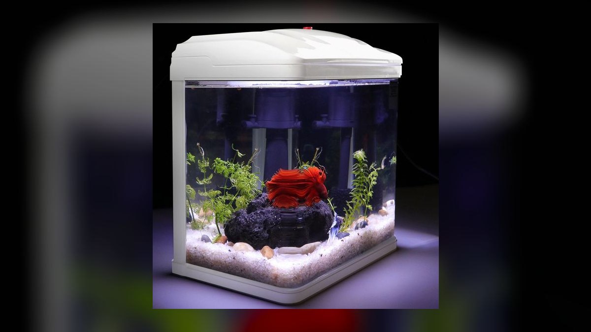 Top 10 aquarium tanks under 20 gallons 2027 — figure 10
