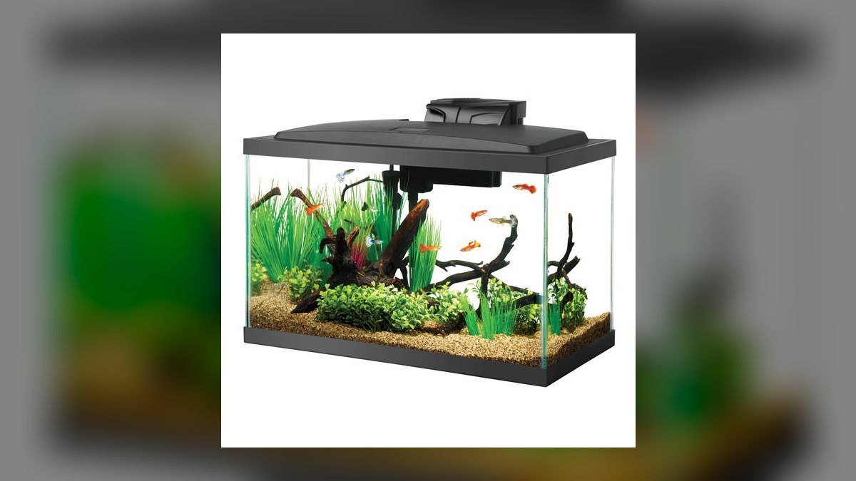 Top 10 aquarium tanks under 20 gallons 2027 — figure 2