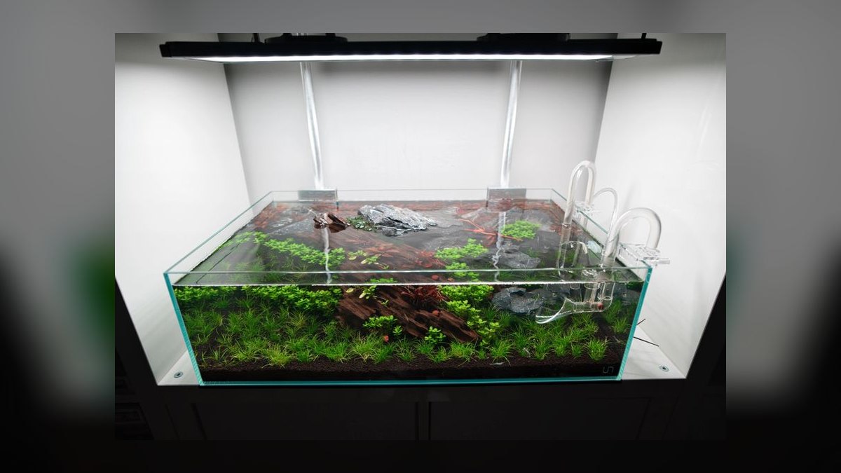 Top 10 aquarium tanks under 20 gallons 2027 — figure 3