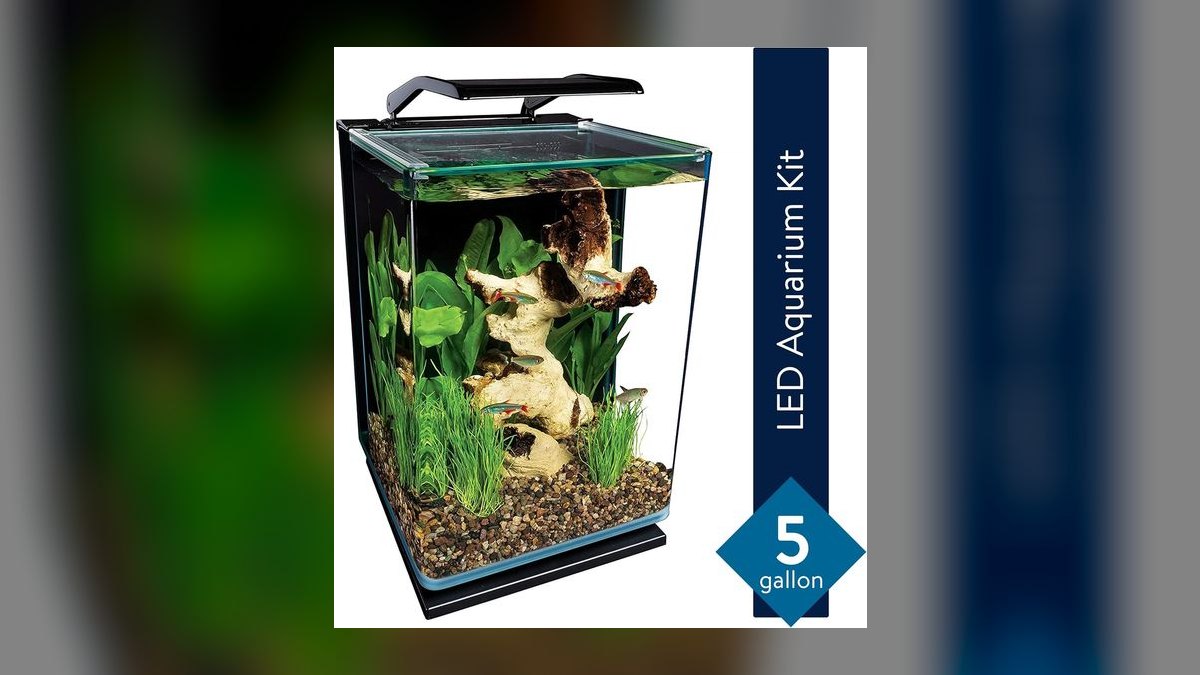 Top 10 aquarium tanks under 20 gallons 2027 — figure 6