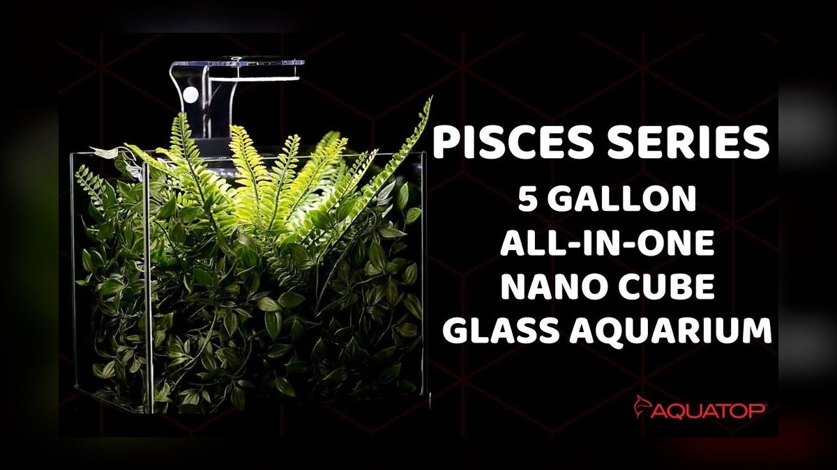 Top 10 aquarium tanks under 20 gallons 2027 — figure 9