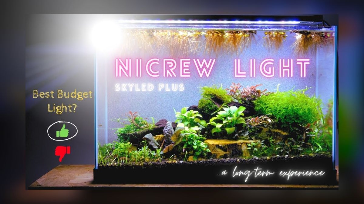 Top 10 aquarium lighting systems 2027 — figure 8