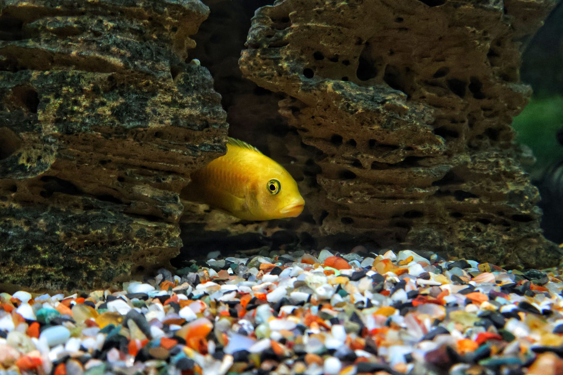Top 10 aquarium substrate options 2027 — figure 8