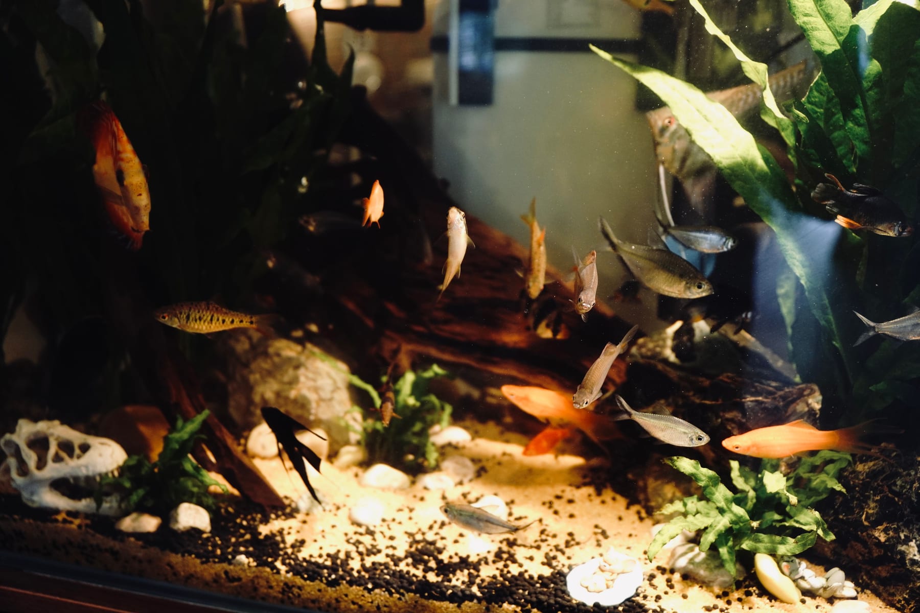 Top 10 aquarium substrate options 2027 — figure 9