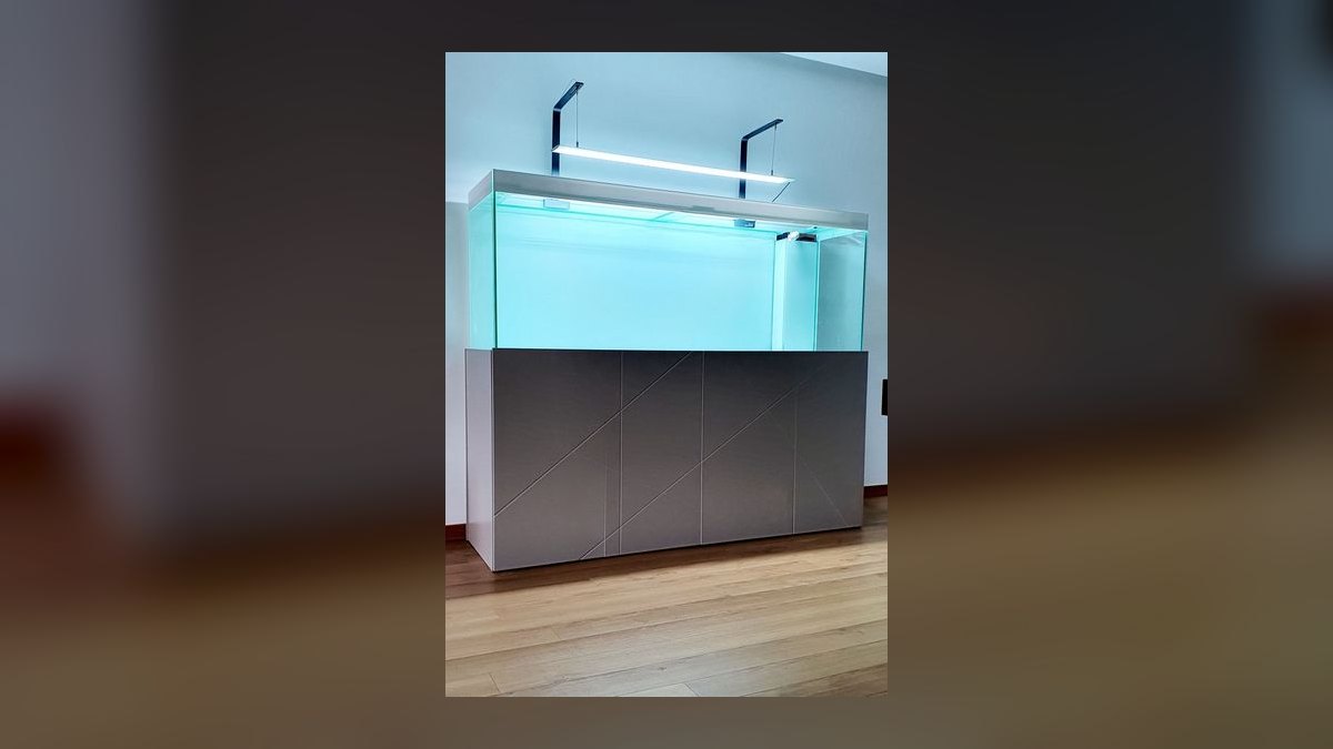 Top 10 aquarium stand designs 2027 — figure 1