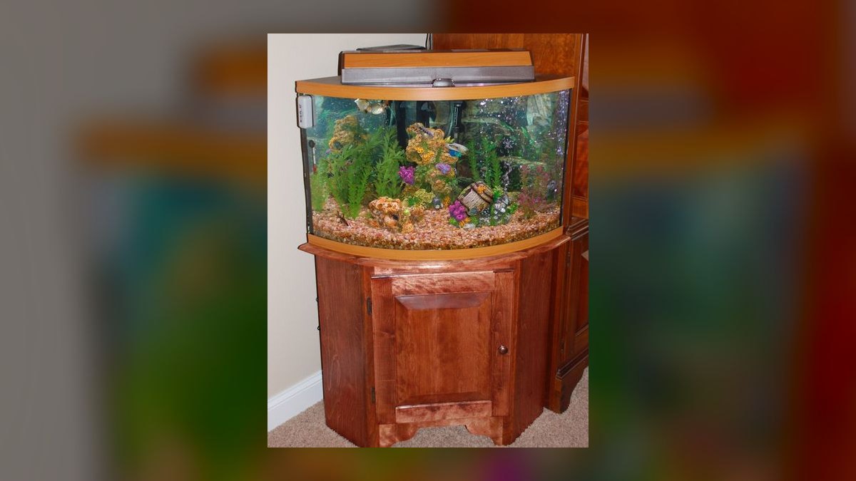Top 10 aquarium stand designs 2027 — figure 5