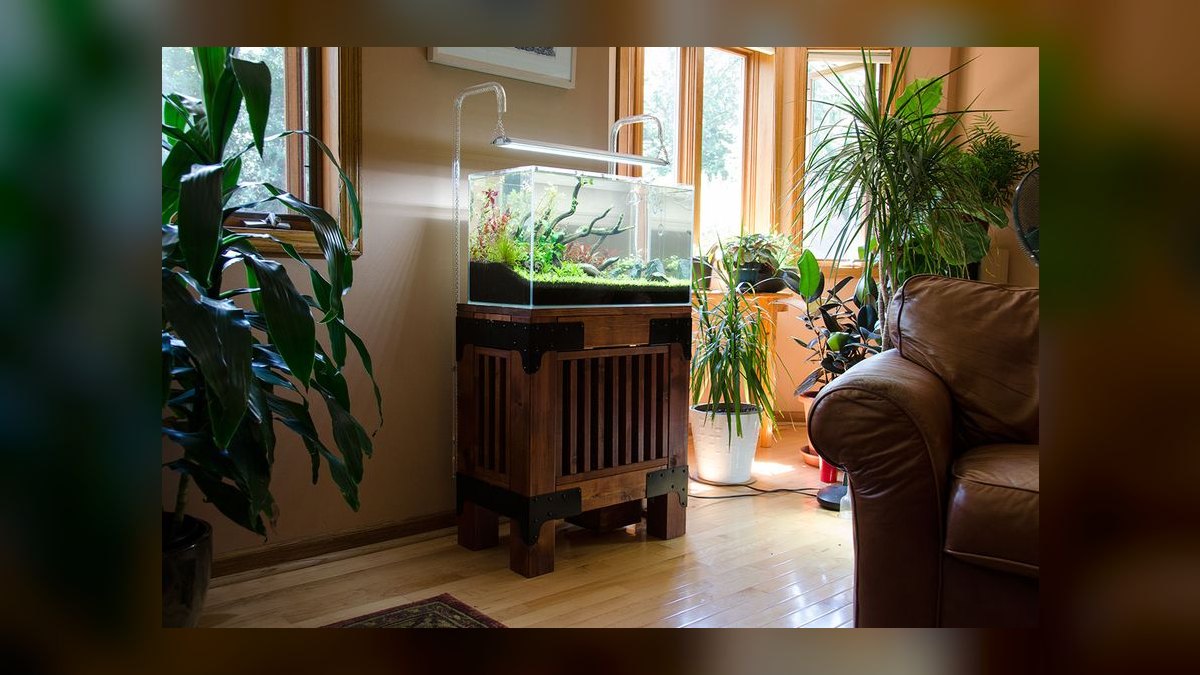 Top 10 aquarium stand designs 2027 — figure 6