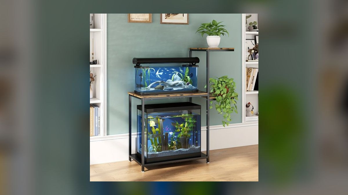 Top 10 aquarium stand designs 2027