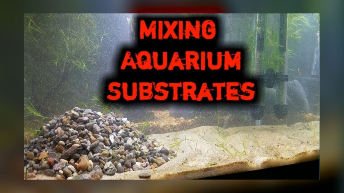 Top 10 aquarium decor ideas 2027 — figure 7