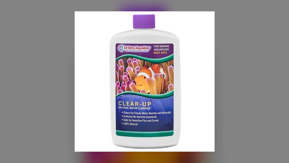 Top 10 beneficial bacteria starters 2027 — figure 1