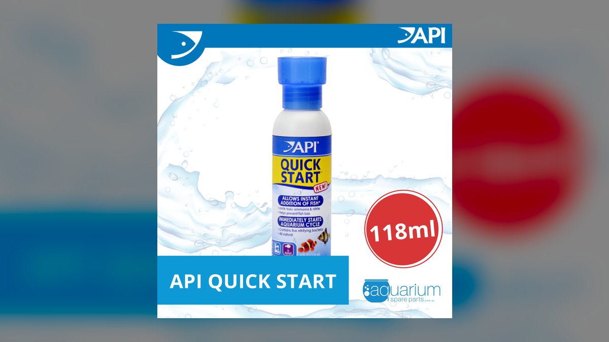 Top 10 beneficial bacteria starters 2027 — figure 4