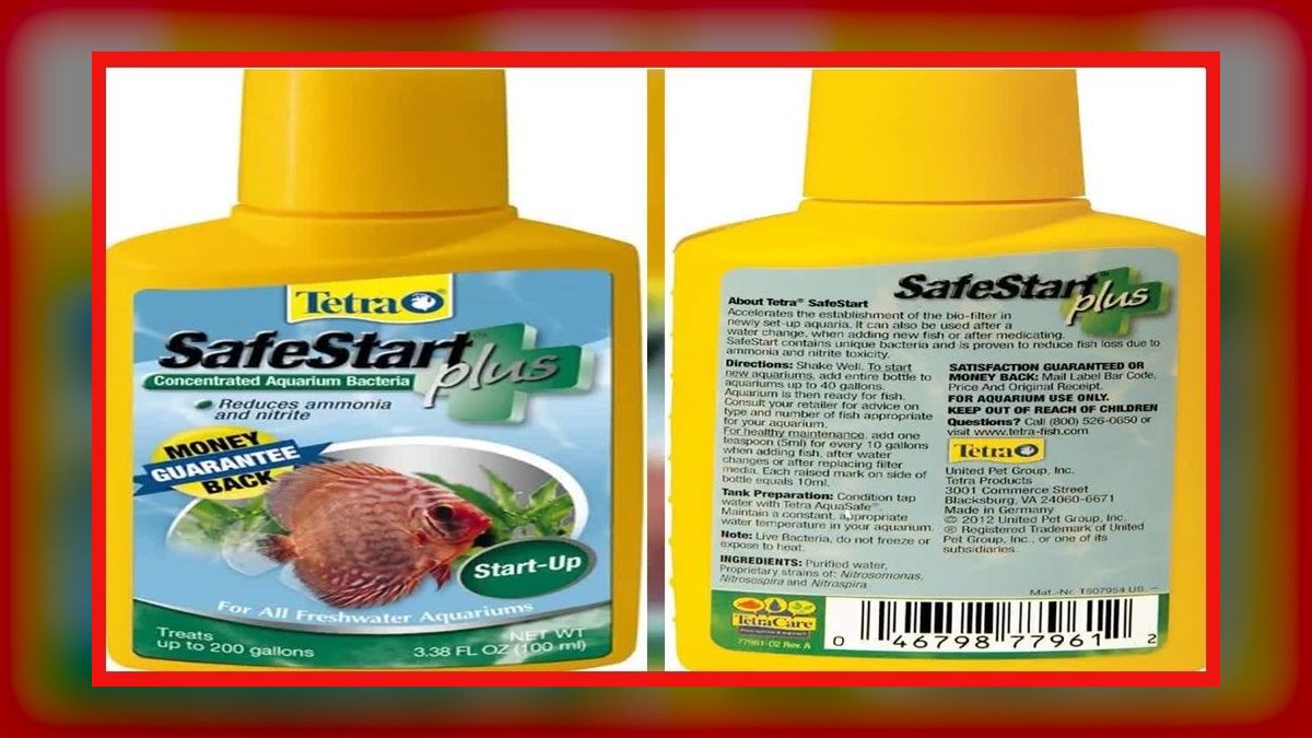 Top 10 beneficial bacteria starters 2027 — figure 5