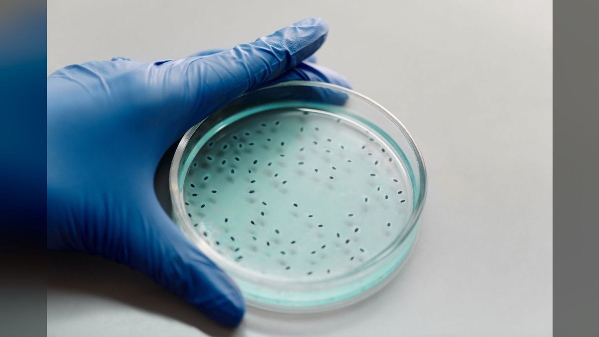 Top 10 beneficial bacteria starters 2027