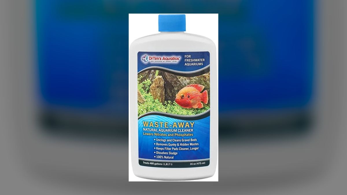 Top 10 beneficial bacteria starters 2027