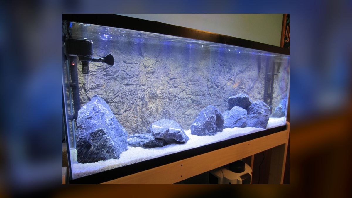 Top 10 best fish tank backgrounds 2027 — figure 10