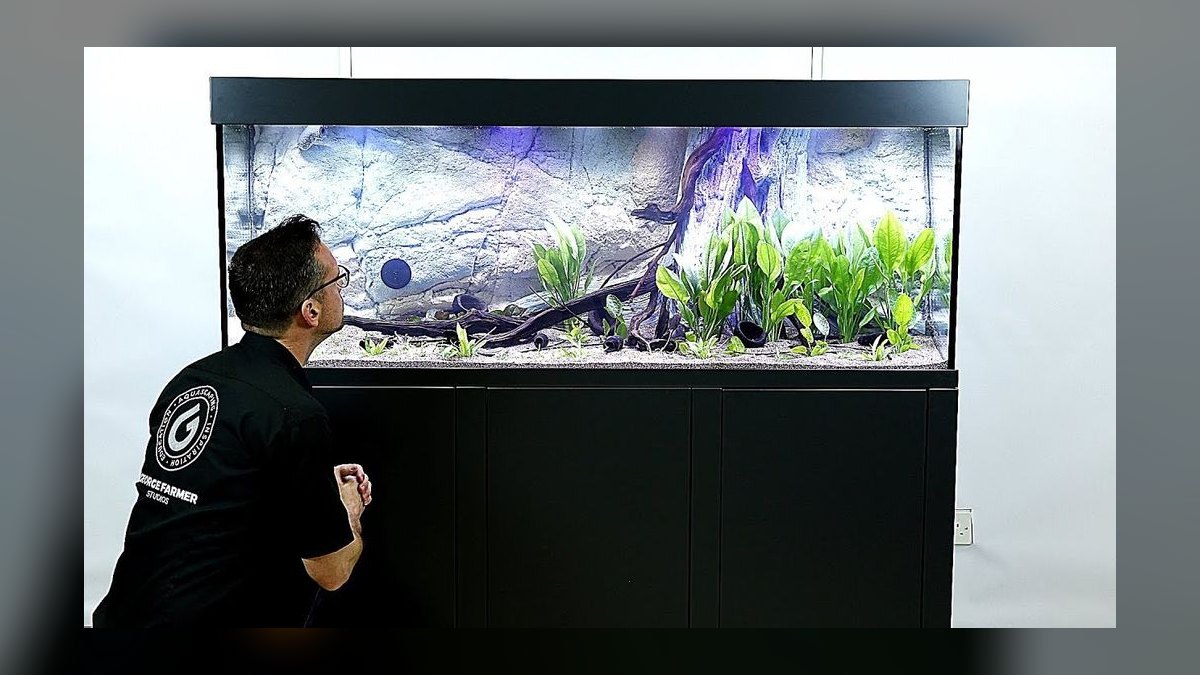 Top 10 best fish tank backgrounds 2027 — figure 5