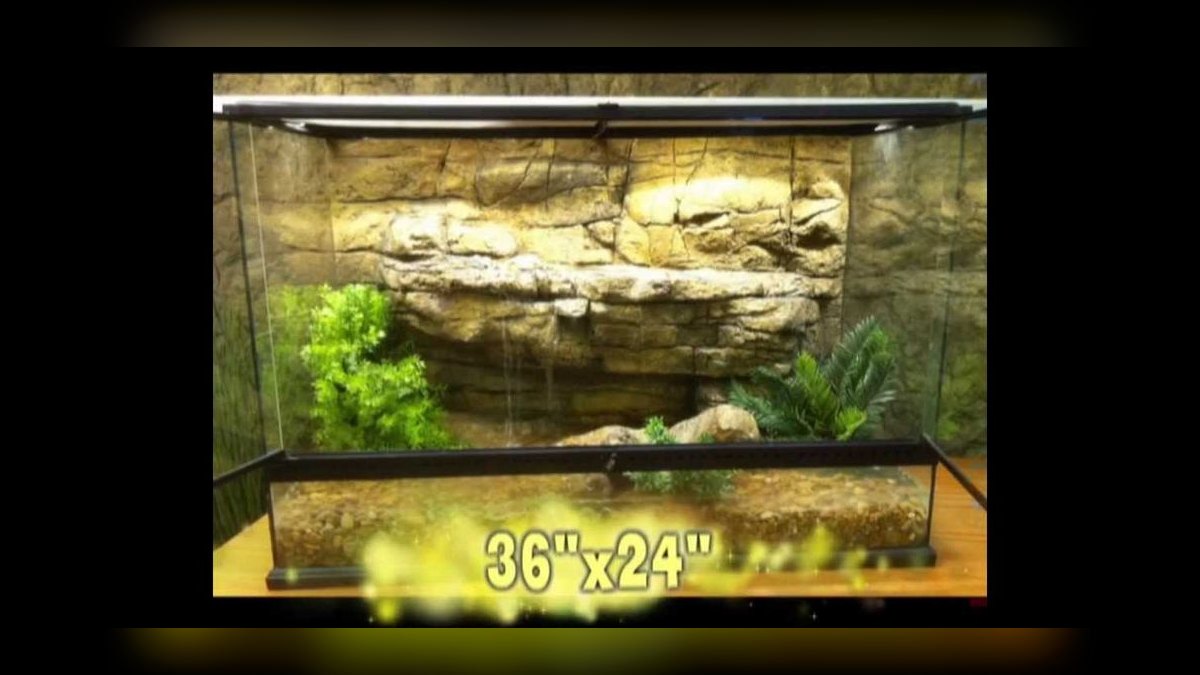 Top 10 best fish tank backgrounds 2027 — figure 7