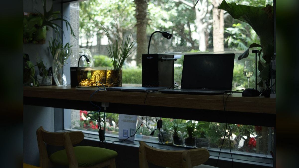 Top 10 red aquarium plants 2027