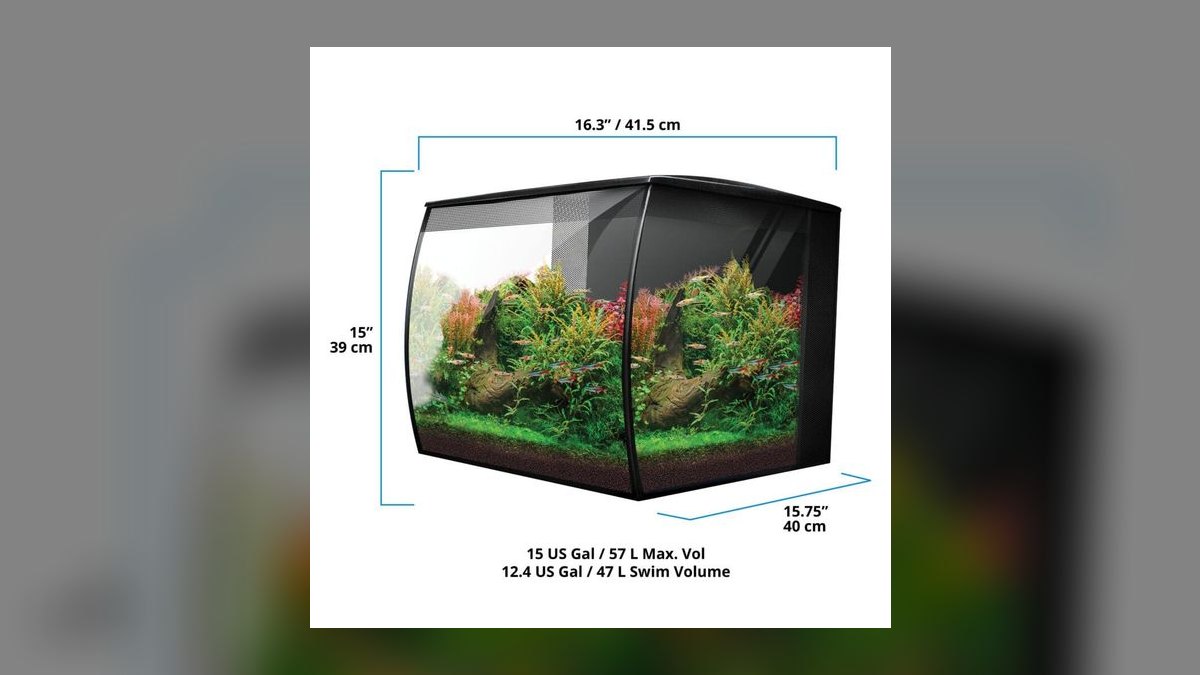 Top 10 best rimless aquarium brands 2027 — figure 7