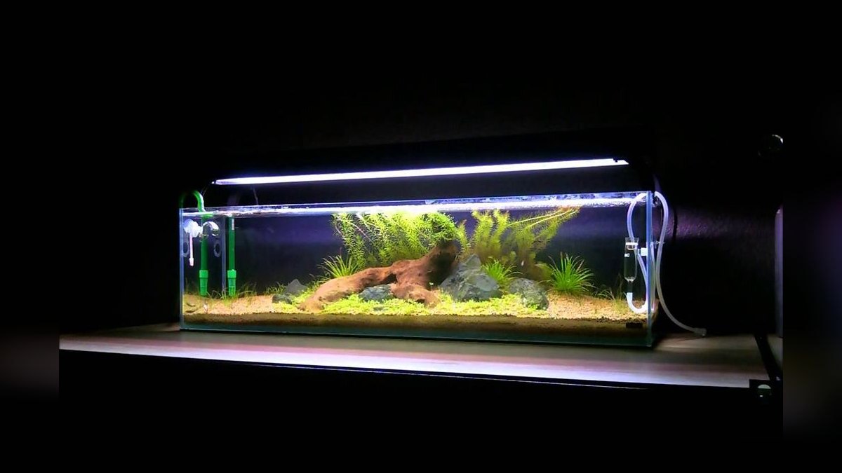 Top 10 best rimless aquarium brands 2027 — figure 9