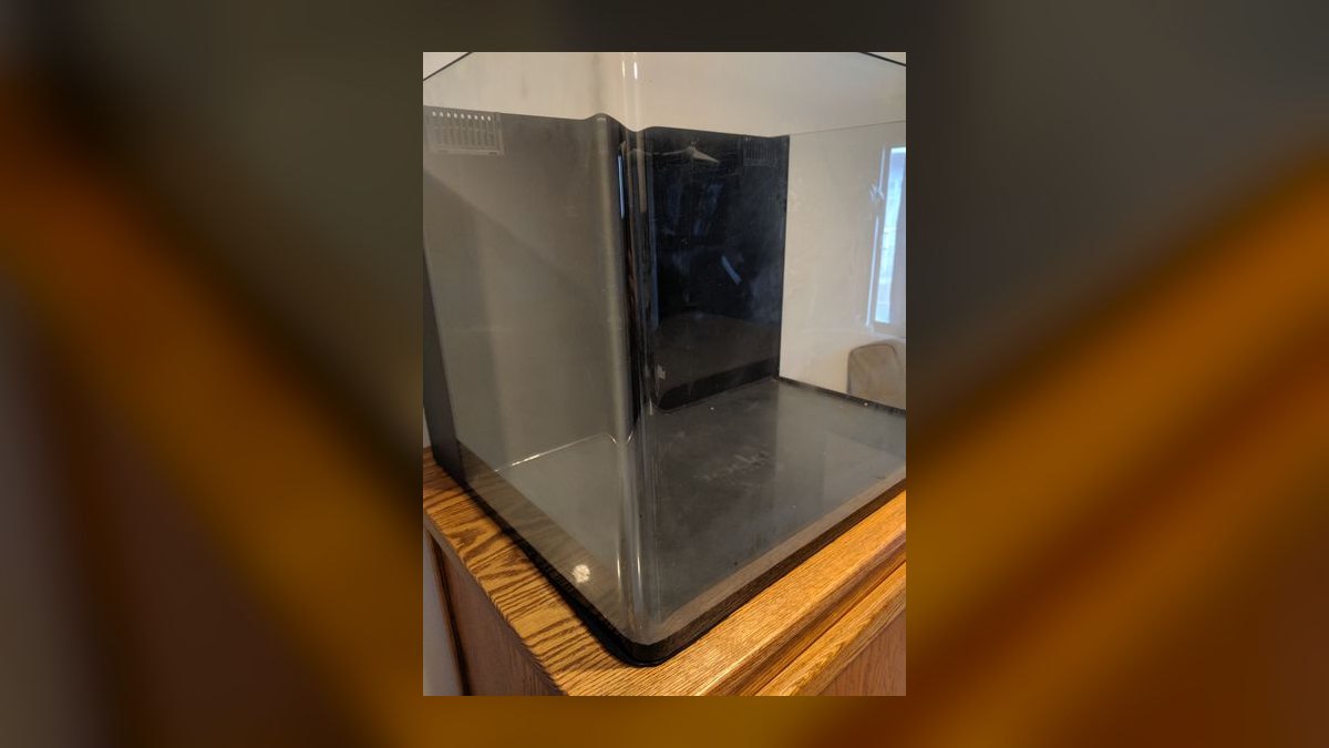 Top 10 acrylic vs glass tank pros 2027 — figure 5
