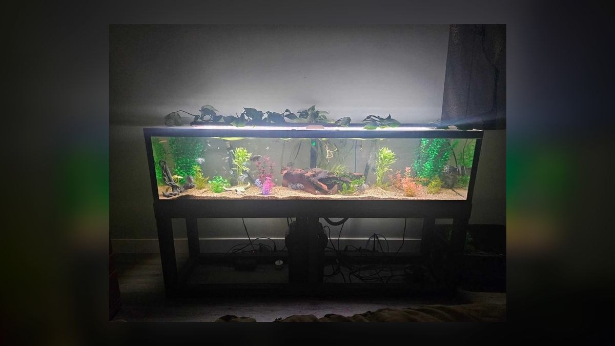 Top 10 acrylic vs glass tank pros 2027 — figure 6