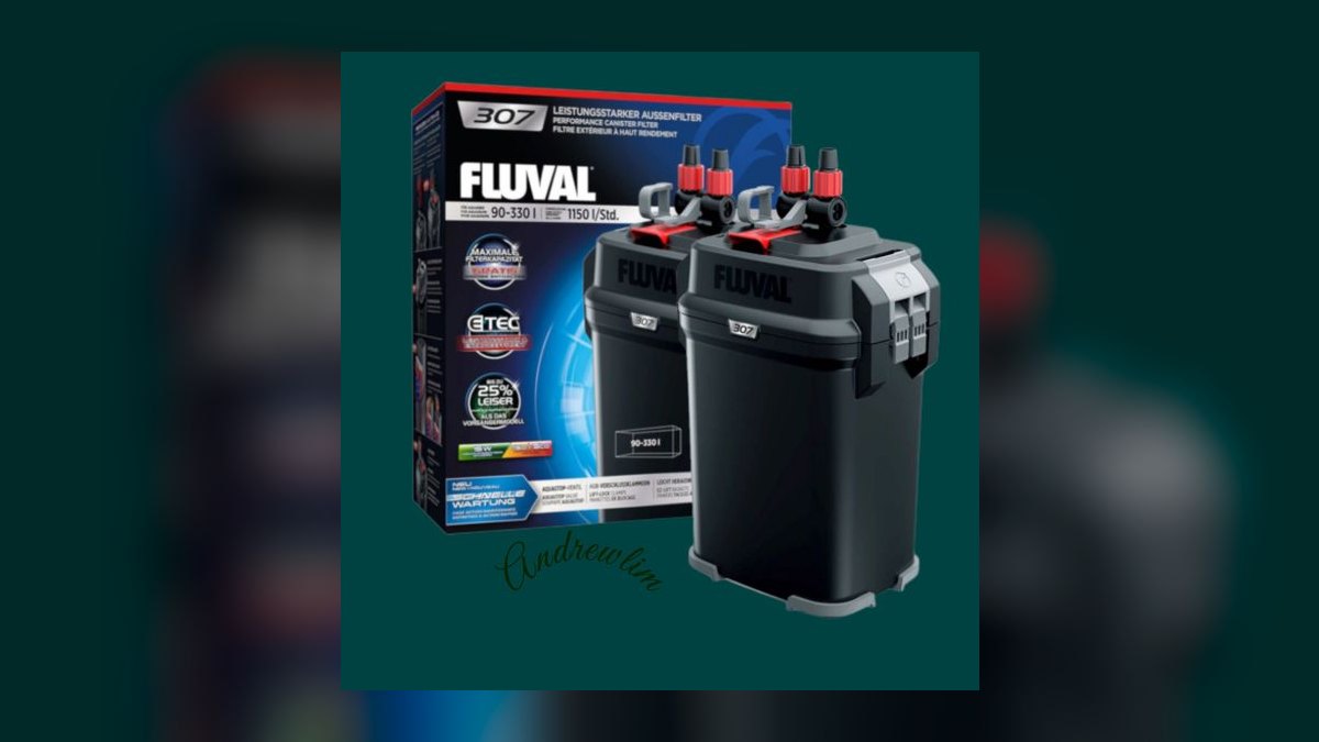 Top 10 desktop aquarium kits 2027