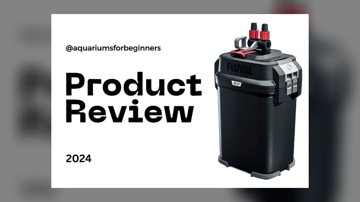 Top 10 best aquarium cleaning tools 2027