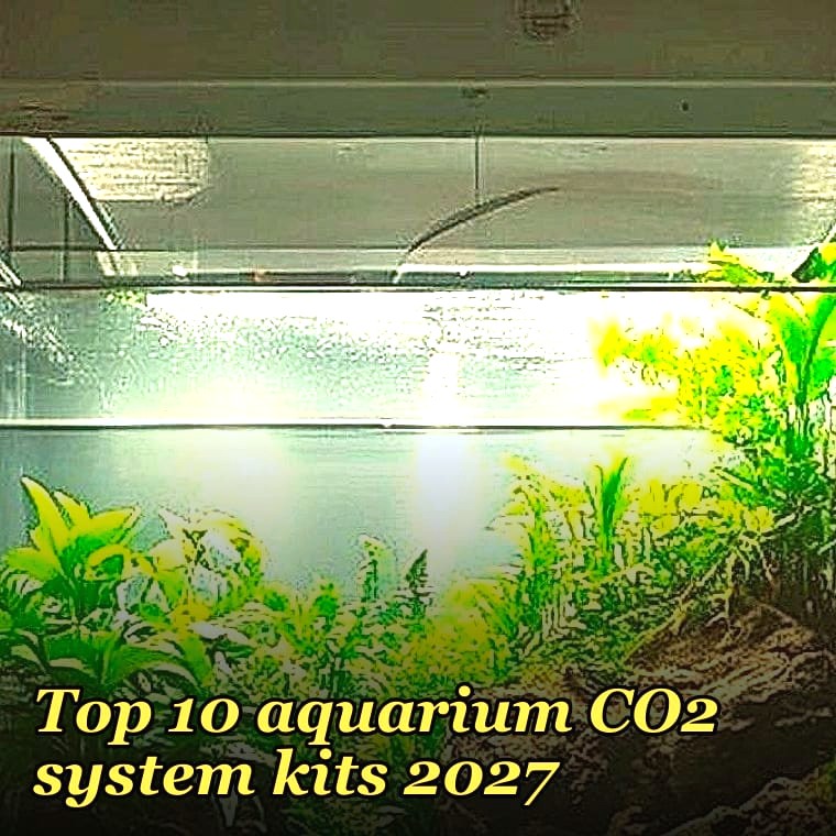 Top 10 aquarium CO2 system kits 2027
