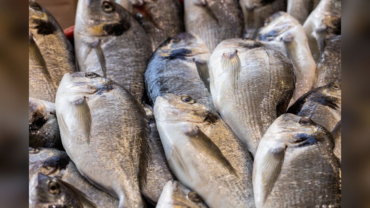 Top 10 signs of healthy fish 2027 — figure 5