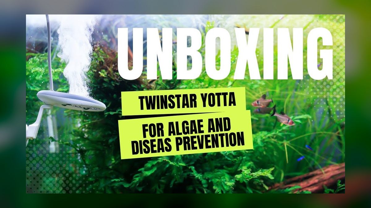 Top 10 ways to prevent algae 2027 — figure 2