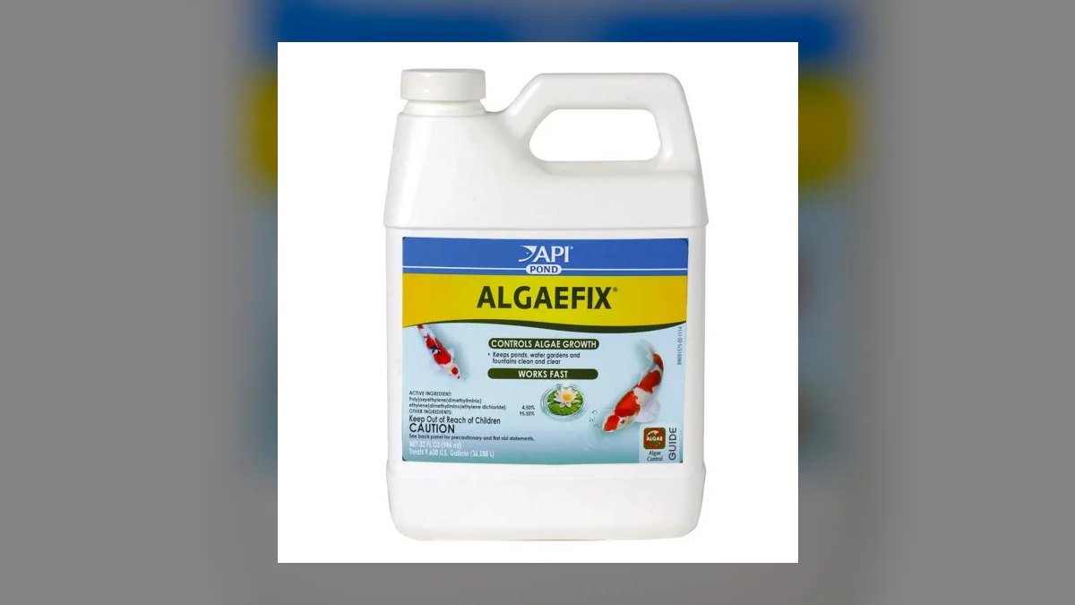 Top 10 ways to prevent algae 2027 — figure 3