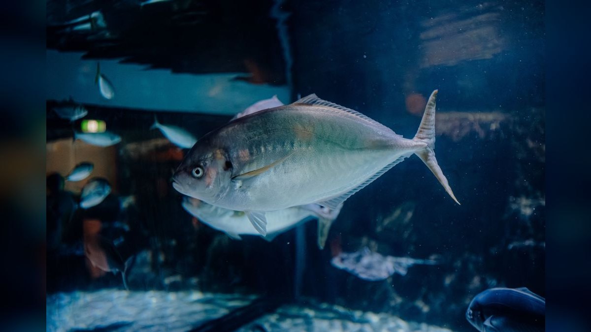 Top 10 fish tank setup mistakes 2027 — figure 3