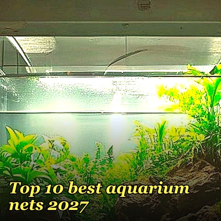 Top 10 best aquarium nets 2027