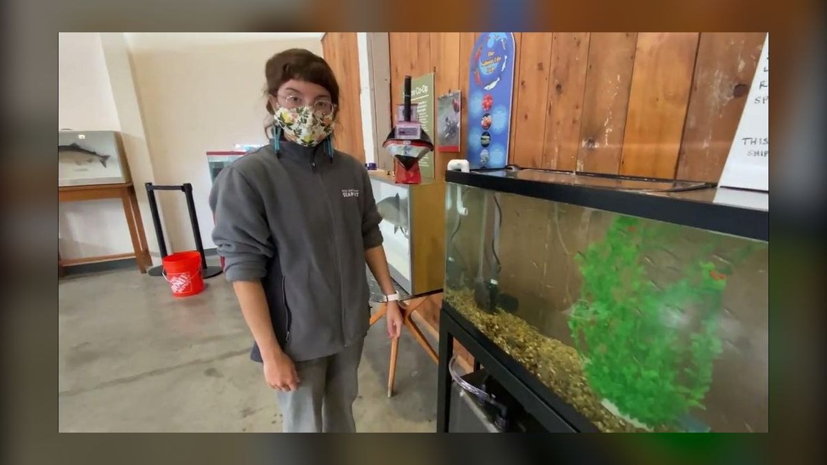 Top 10 aquarium water change hacks 2027 — figure 10