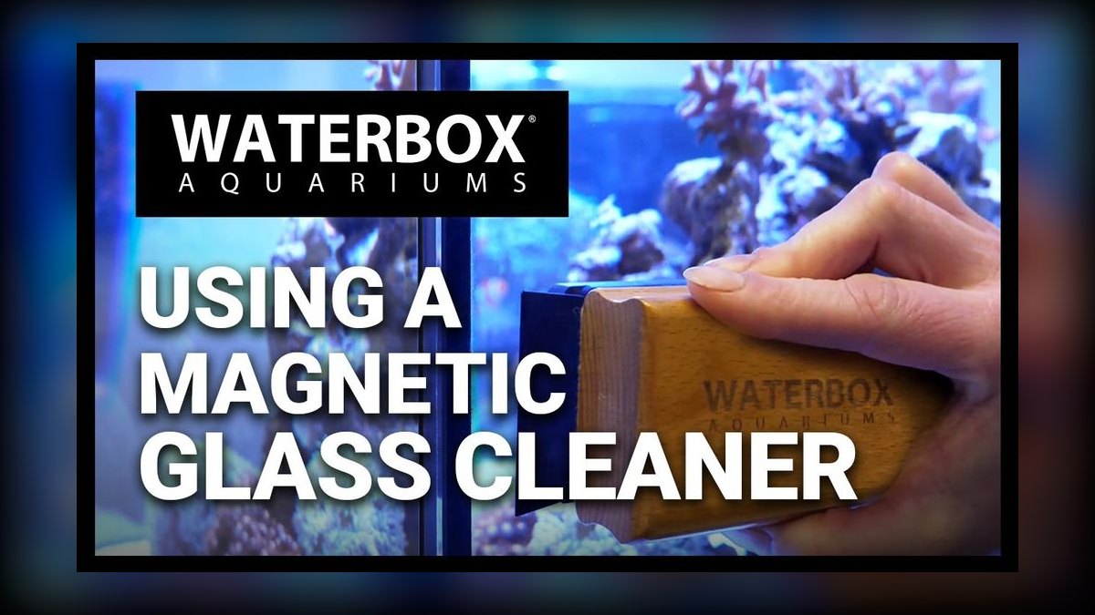 Top 10 aquarium glass cleaners 2027 — figure 7