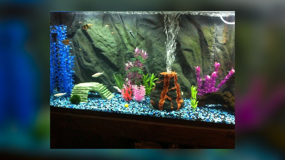 Top 10 fish tank gravel colors 2027 — figure 7