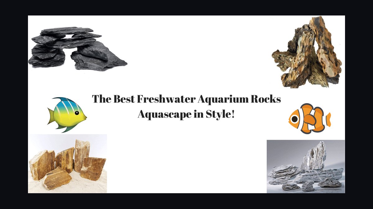 Top 10 aquarium rock types 2027 — figure 10