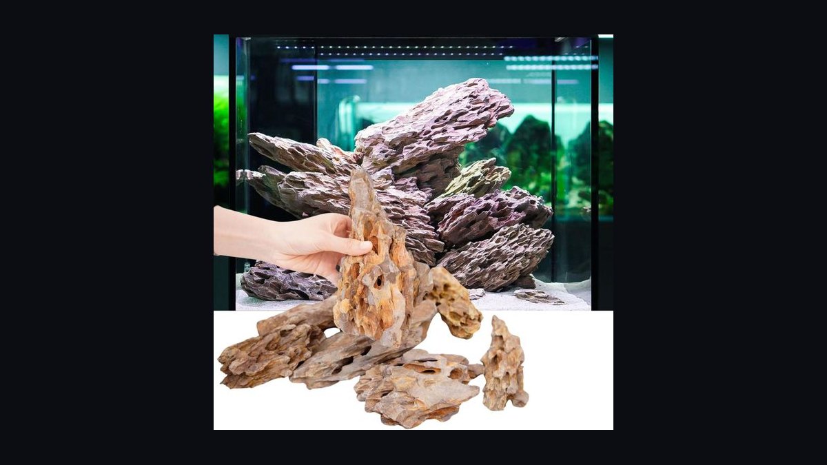Top 10 aquarium rock types 2027 — figure 2