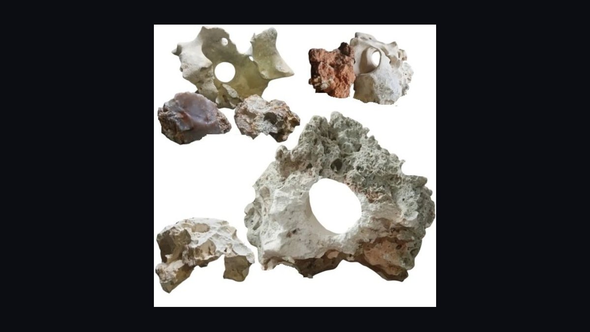 Top 10 aquarium rock types 2027 — figure 4