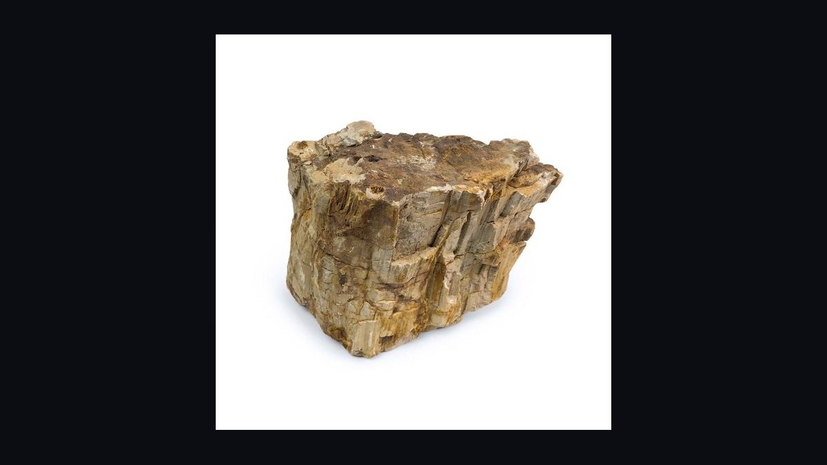 Top 10 aquarium rock types 2027 — figure 5