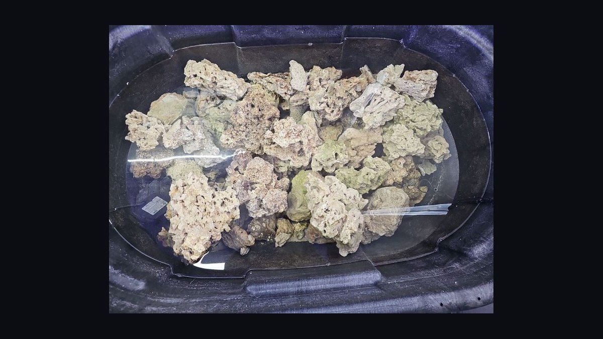 Top 10 aquarium rock types 2027 — figure 7